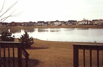 pond2.jpg (28031 bytes)